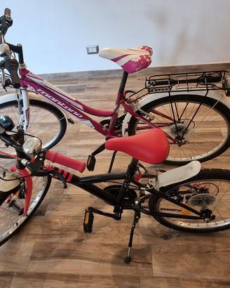  Coppia bici  1 TG 20 e 1 per bambini 5-8 anni
