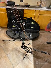 Arco compound Bear Anarchy