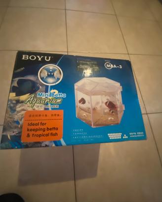 Acquario per beta