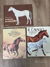 Lotto libri cavalli