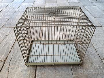 gabbia mefallo uccelli