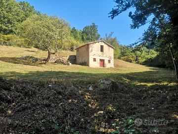 Rustico Nel Comune di Rocca Sinibalda