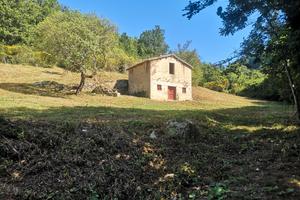 Rustico Nel Comune di Rocca Sinibalda