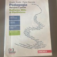 Pedagogia. Percorsi e parole.