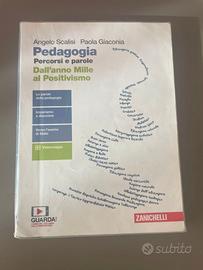 Pedagogia. Percorsi e parole.