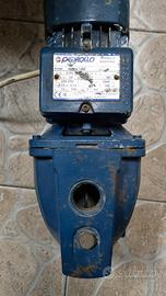 motore acqua elettropompa pedrollo 