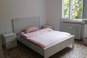 Singola luminosa zona Savena