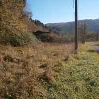 Terreno per pascolo animali