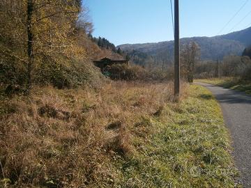 Terreno per pascolo animali