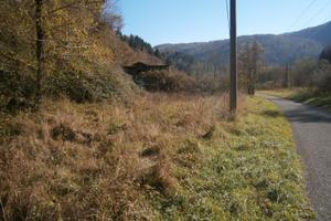 Terreno per pascolo animali