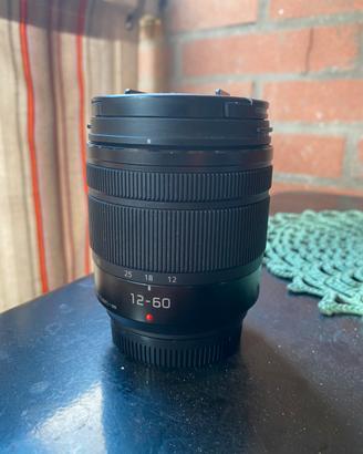 Panasonic 12-60