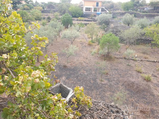 TA76 - Terreno agricolo zona semi centro