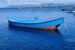 Barca da pesca 7,5 m