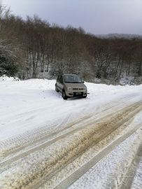 Fiat panda 4x4