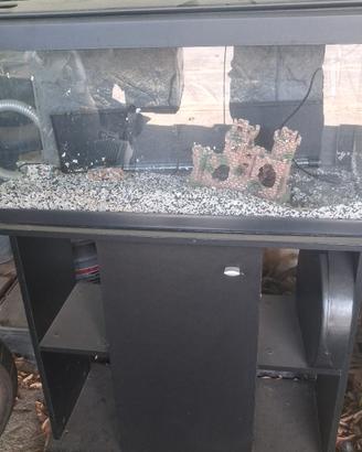 Acquario 100L con mobile