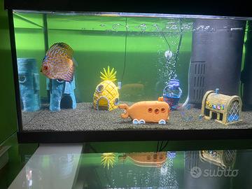 Acquario Tetra 54 litri