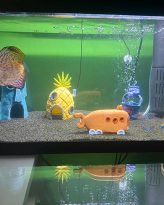 Acquario Tetra 54 litri