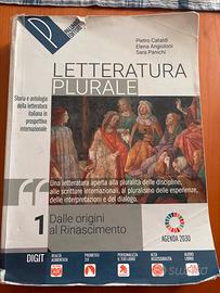 letteratura plurale