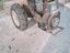 Immagine 2