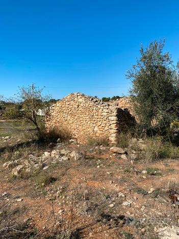 Terreno agric e fabbr vista mare da lontano a vitt