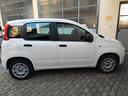 fiat-panda-1-2-8v-easy-11-2020