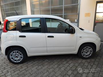 Fiat Panda 1.2 8V Easy - 11/2020