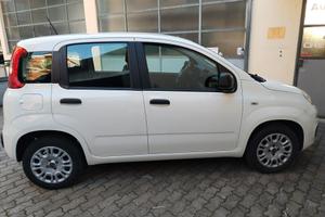 Fiat Panda 1.2 8V Easy - 11/2020