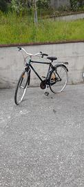 Bicicletta da passeggio