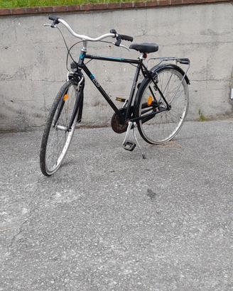 Bicicletta da passeggio