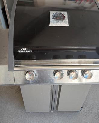 Barbecue a Gas NAPOLEON in Acciaio 