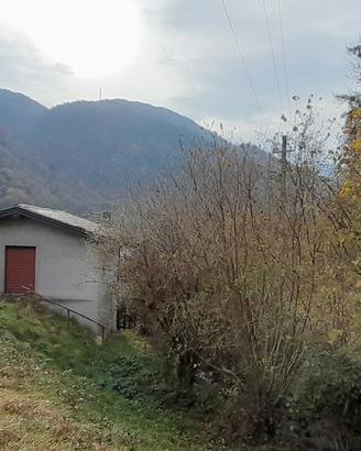 Proprietà con fabbricato e 5.425 mq di terreno