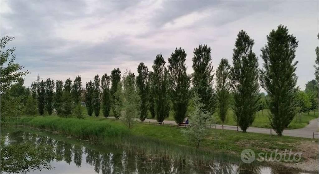 Terreno di 40866 m² a San Giorgio Bigarello - Altro