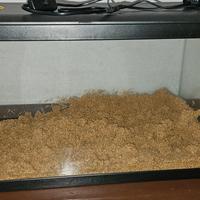 acquario 60 litri ciano led 60