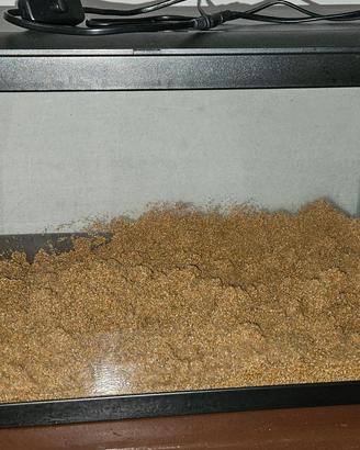 acquario 60 litri ciano led 60