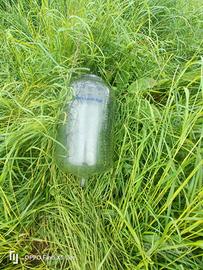 Vaso misura latte DeLaval