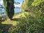Immagine 11