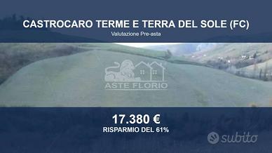 Immobile in asta di 22060 m² a Castrocaro Terme e 