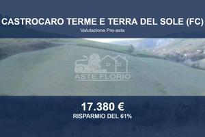 Immobile in asta di 22060 m² a Castrocaro Terme e 