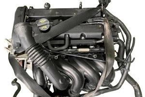 FUJA MOTORE FORD Fiesta Mk5 1.2 16V Benzina 55KW 7
