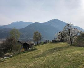 Terreno agricolo