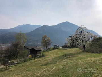 Terreno agricolo