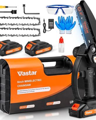 Mini Motosega Batteria 24V Alberi Rami Valigetta