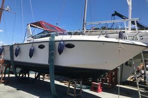 Barca Fiart Tunder 28