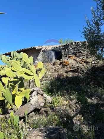 Terreno - Santa Maria di Licodia