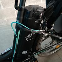 bicicletta elettrica 