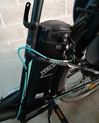 bicicletta elettrica 
