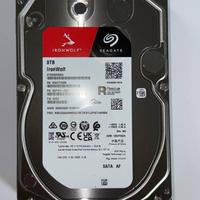 2 HDD Hard Disk 8TB Seagate Ironwolf per NAS