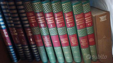 Enciclopedia Generale Illustrata Rizzoli Larousse