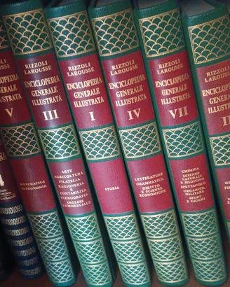 Enciclopedia Generale Illustrata Rizzoli Larousse