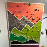 Pannello arrampicata